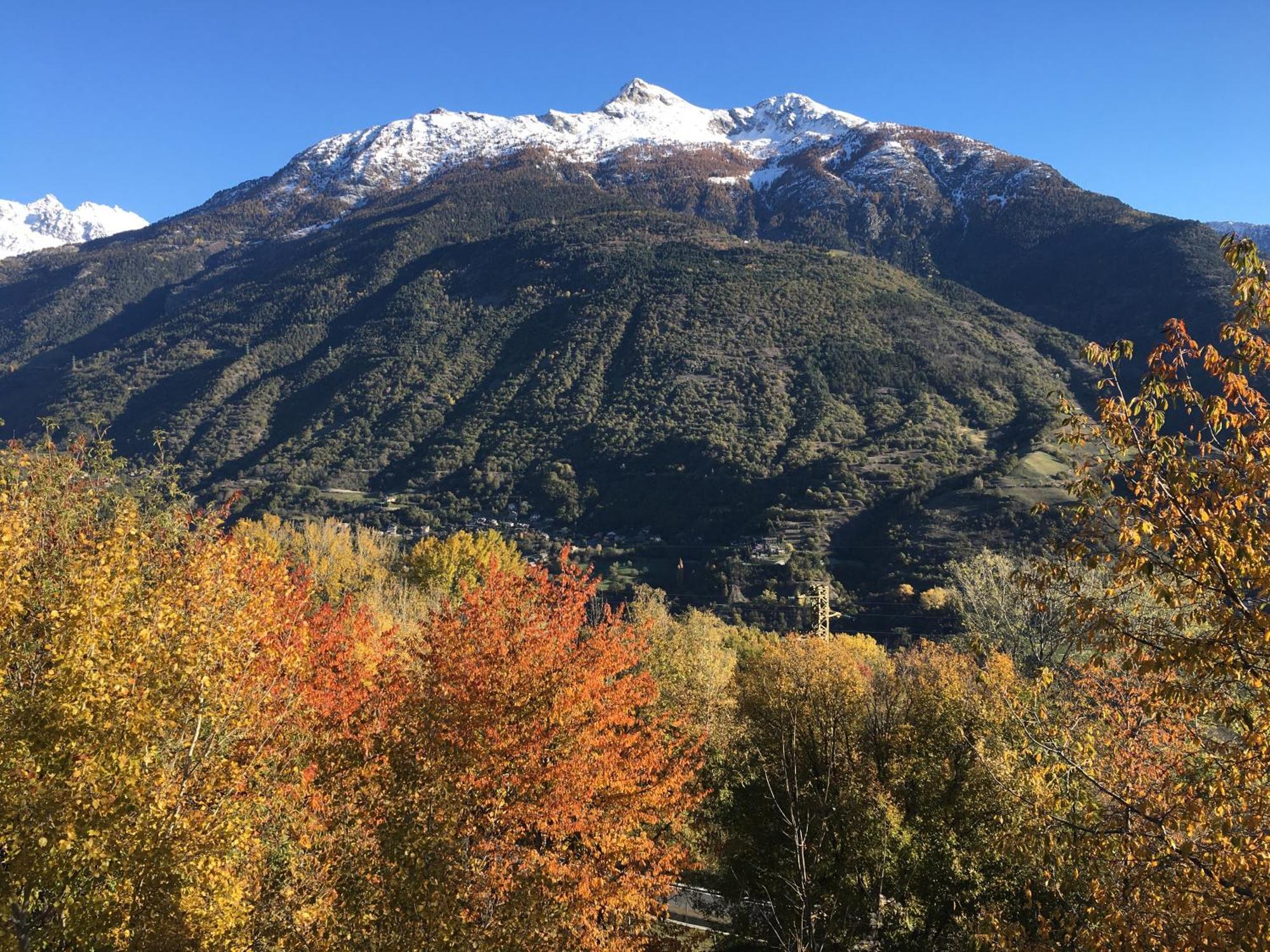 La Casa Del Bosco Apartman Aosta Kültér fotó